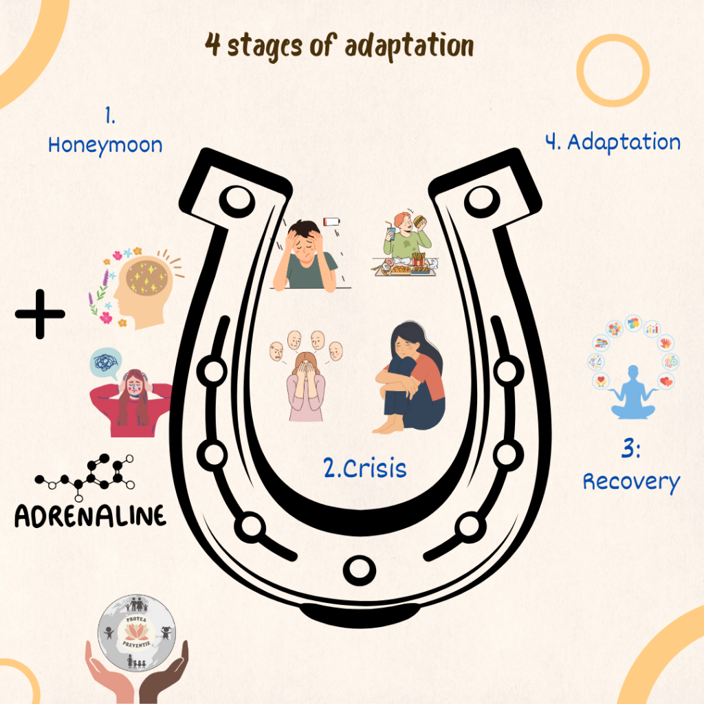 Adaptation: The ‘reverse horseshoe’ of life